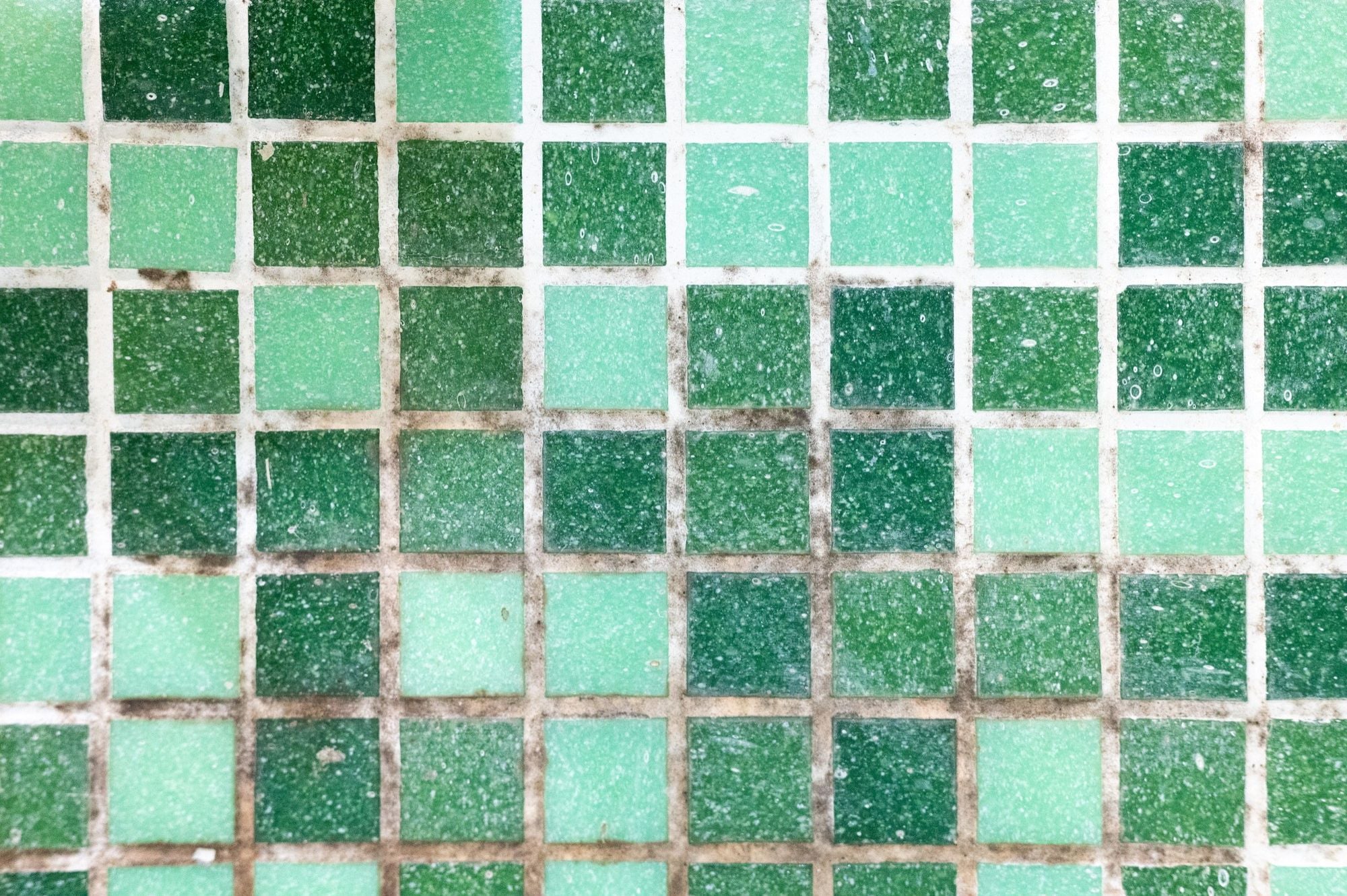 How To Prevent Mold In The Bathroom? How To Prevent Mold In The Bathroom?